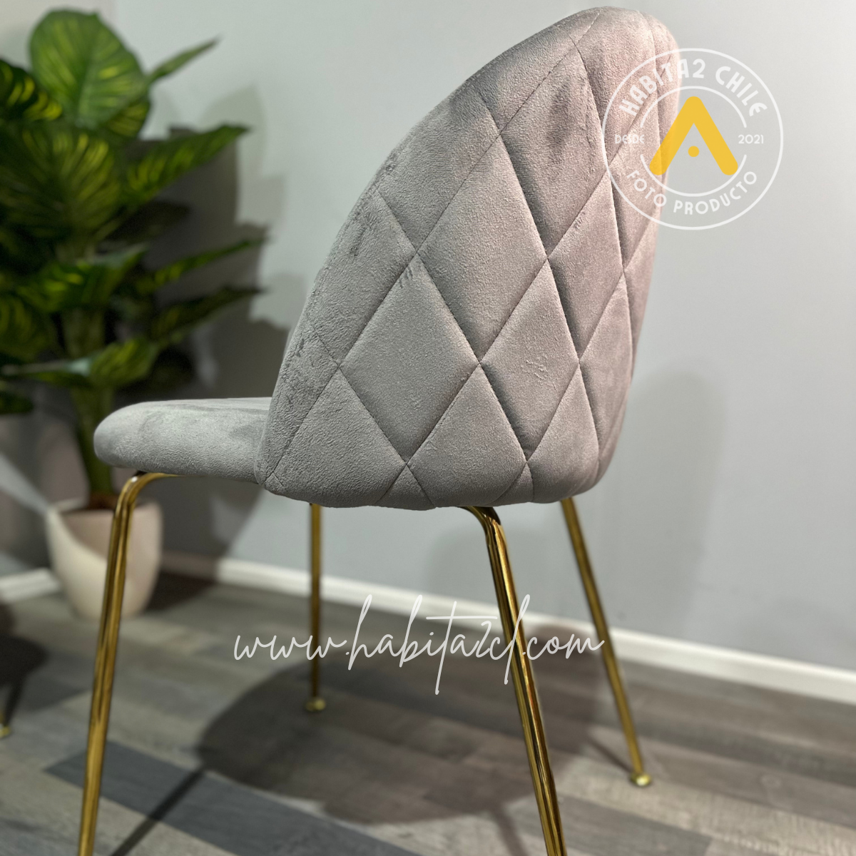 Comedor Dakar