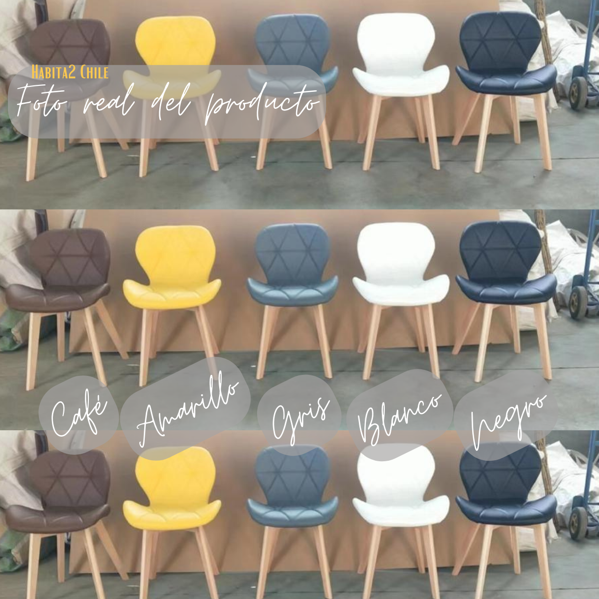 Silla Radar Wood