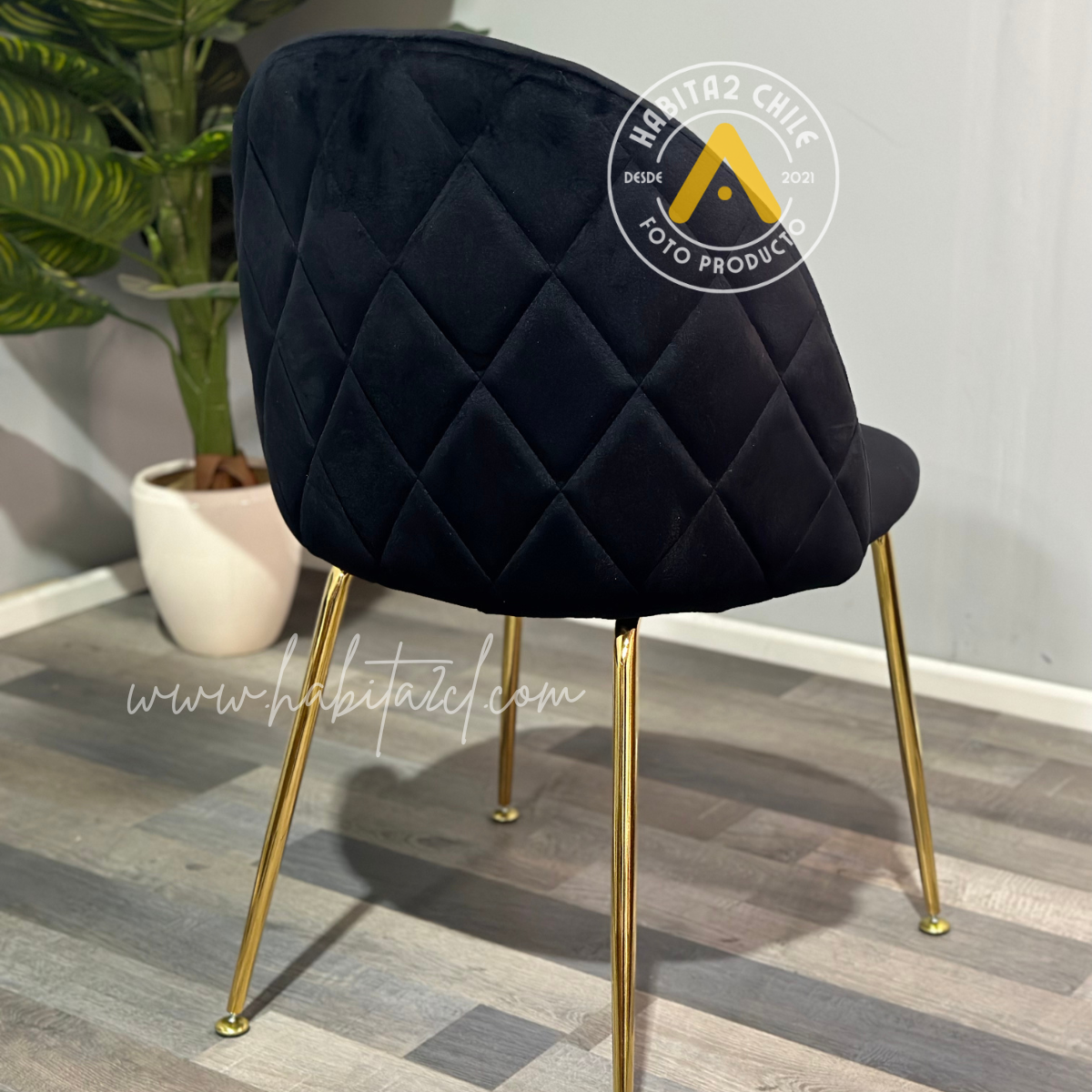 Comedor Dakar