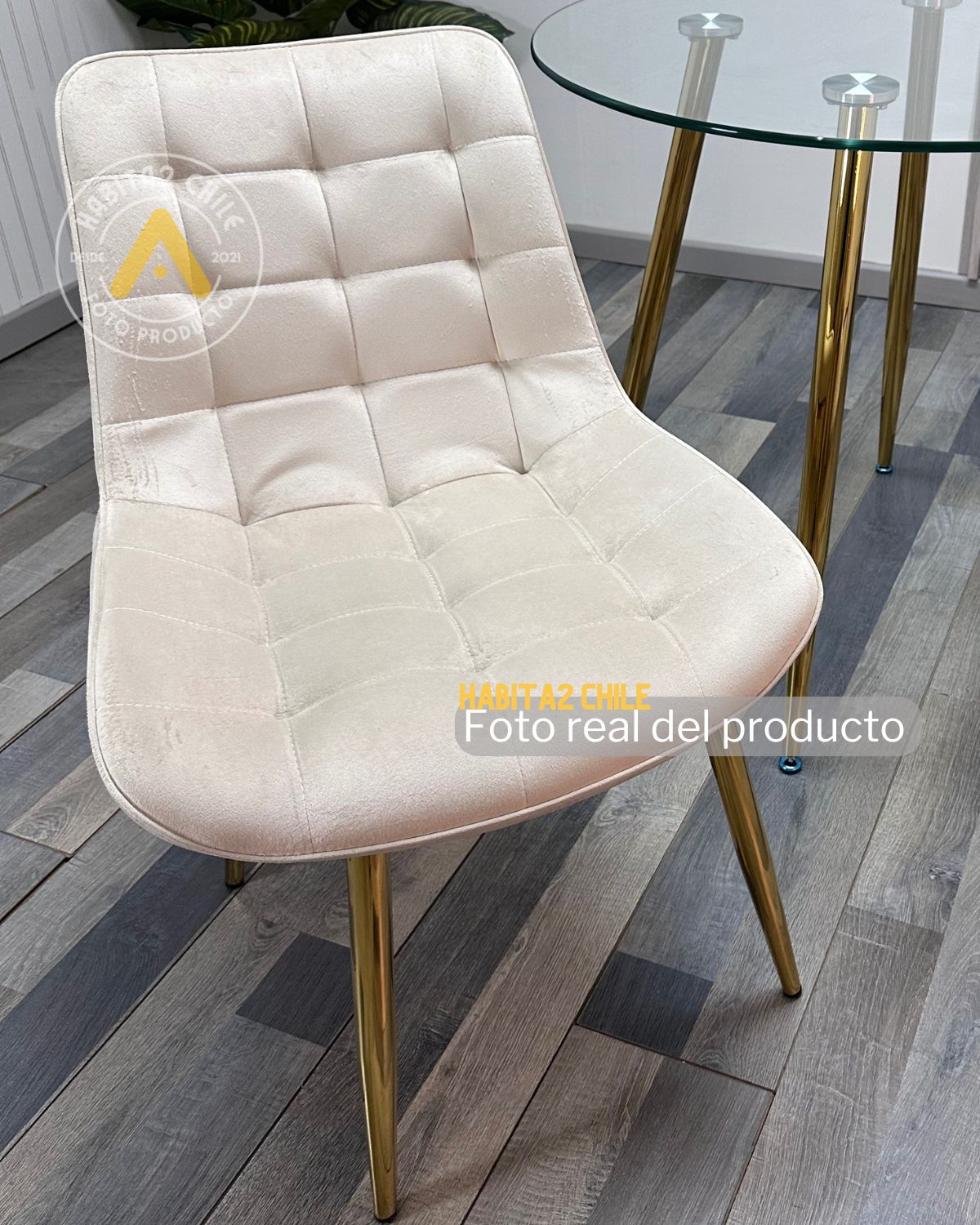 Comedor Roma Gold