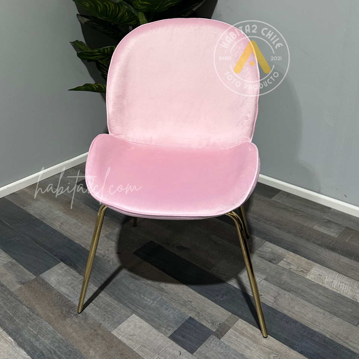 Silla Berlín Felpa Gold