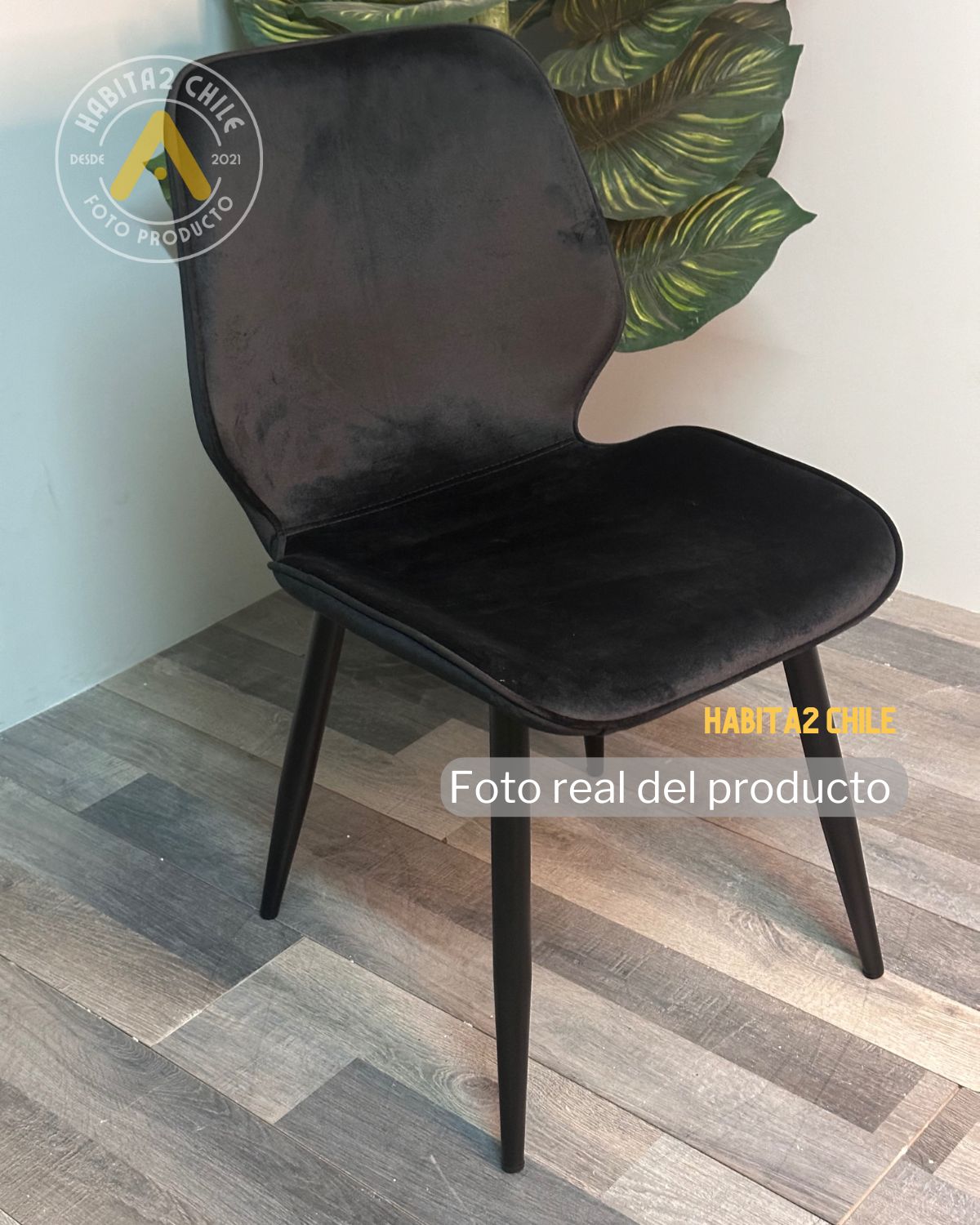 Silla Gabriel