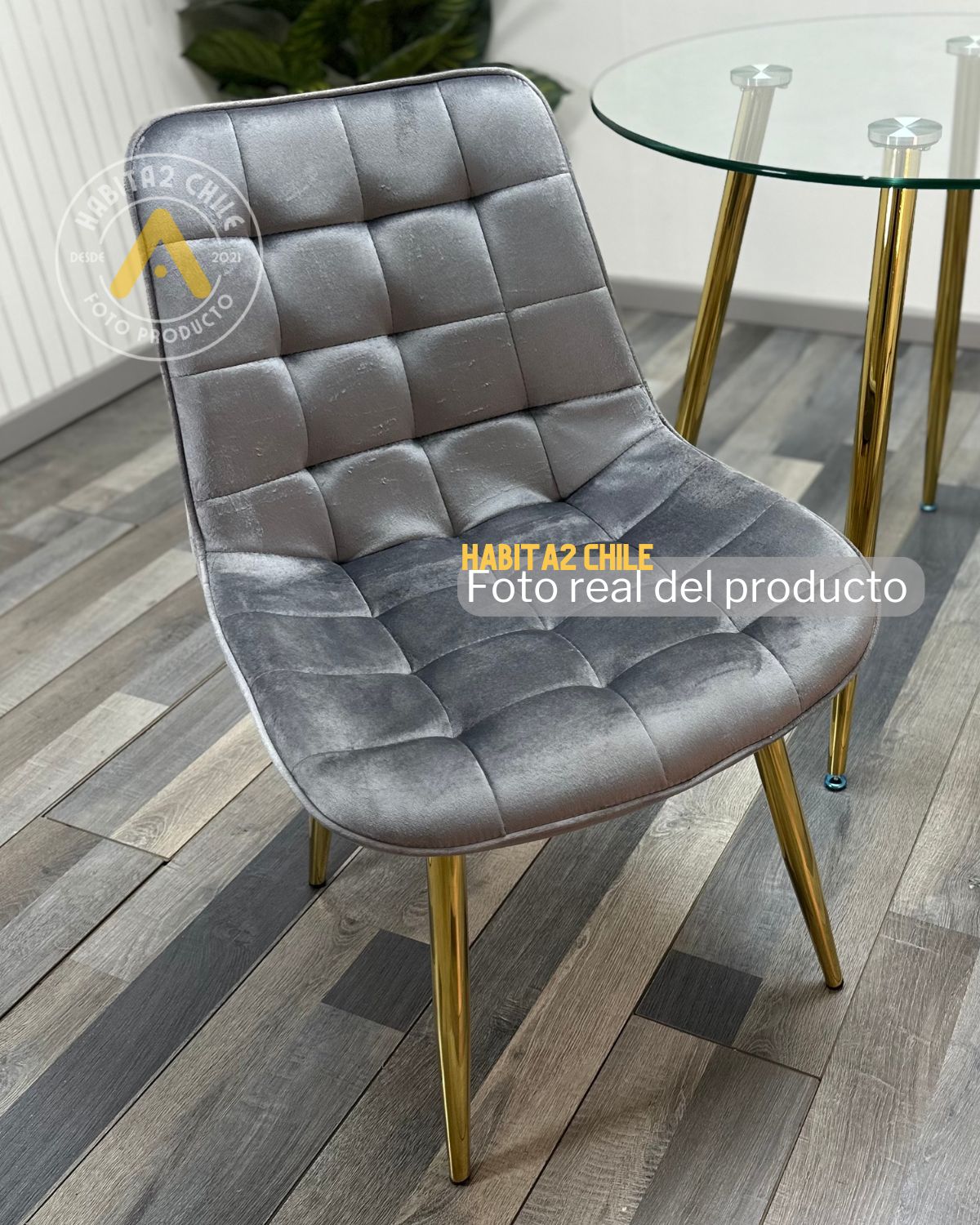 Comedor Roma Gold