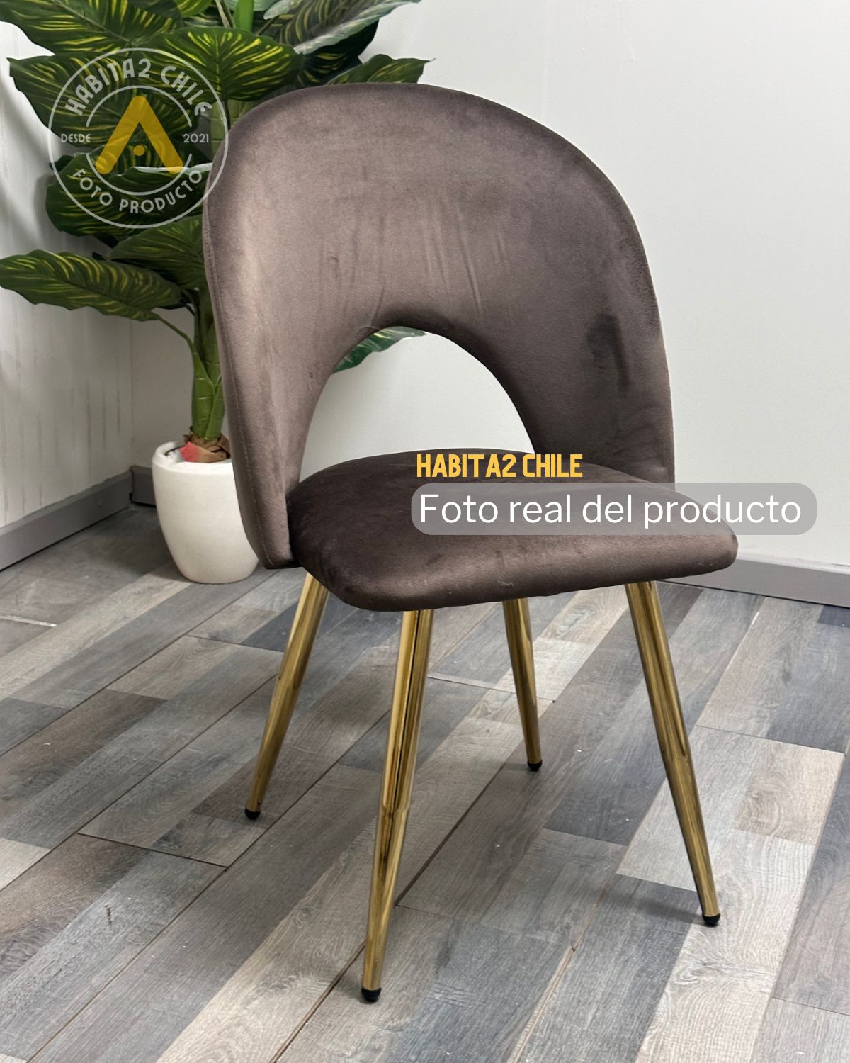 Silla Elsa