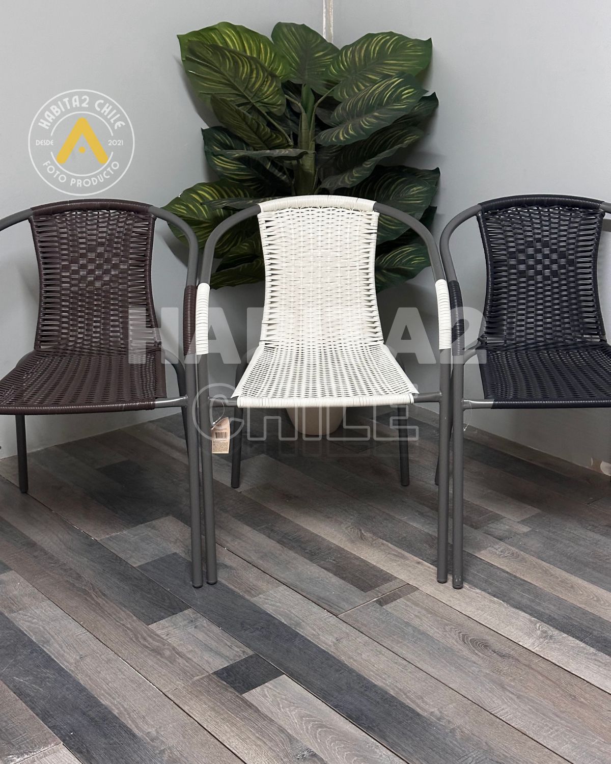 Silla Terra