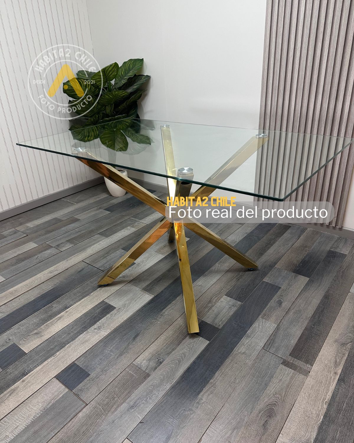 Comedor Dakar