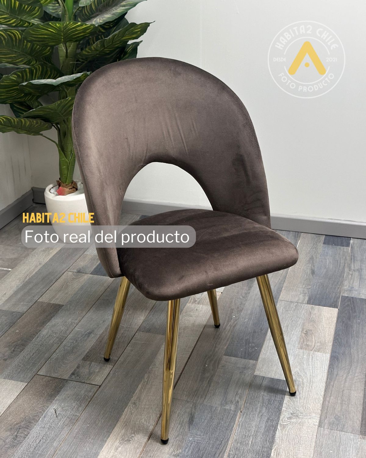 Comedor Elegant