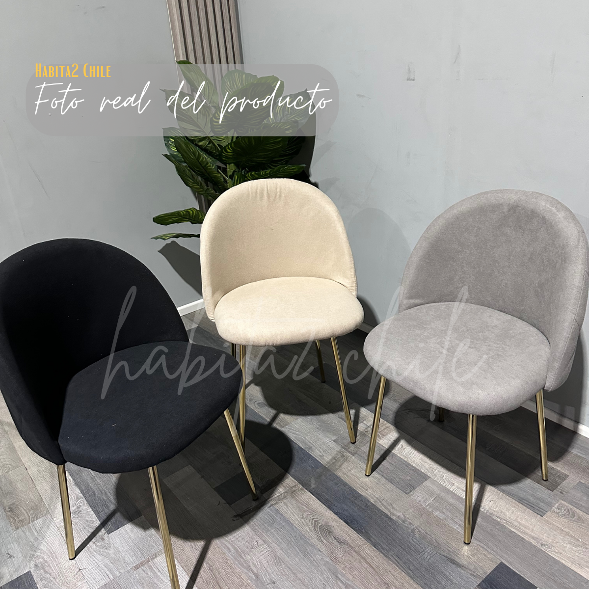 Comedor Nordic Gold Redondo Queen