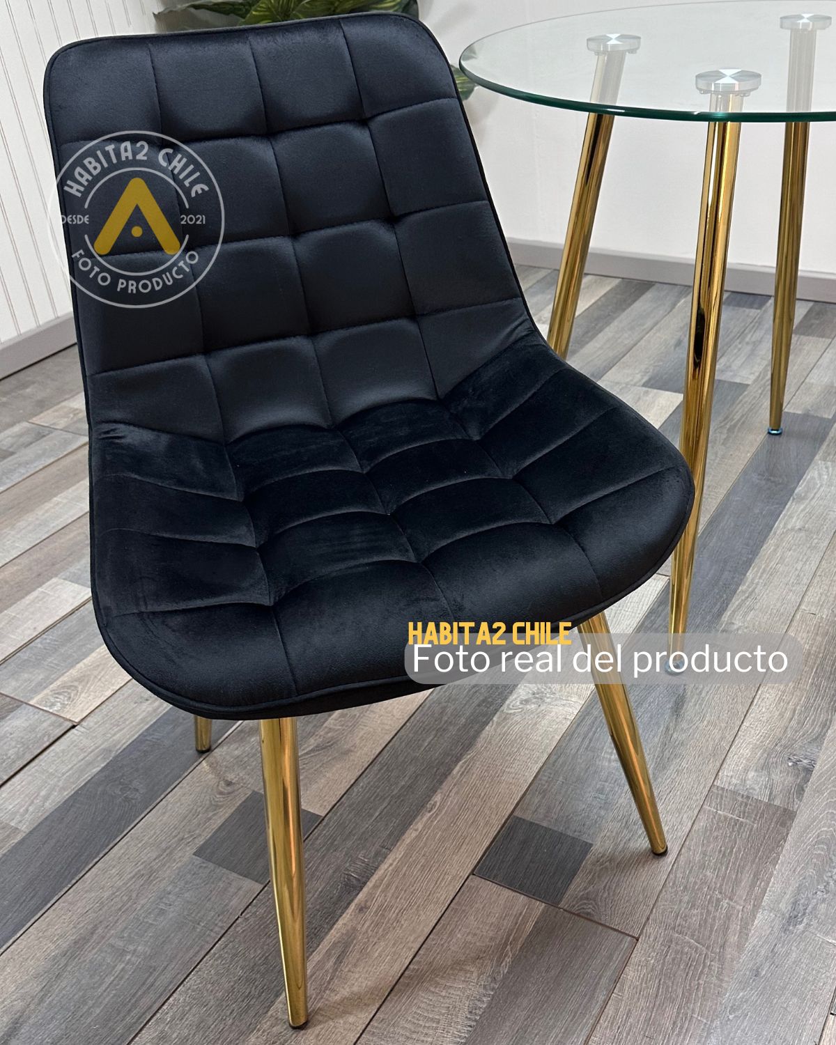 Comedor Roma Gold