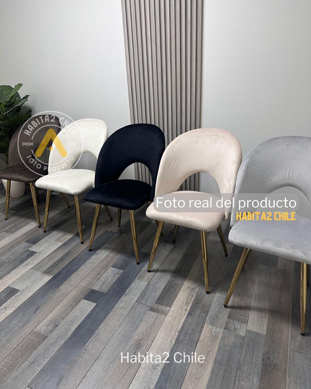 Silla Elsa