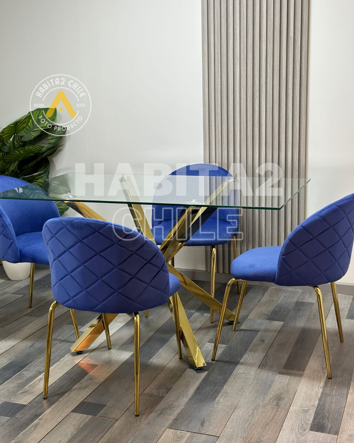 Comedor Dakar