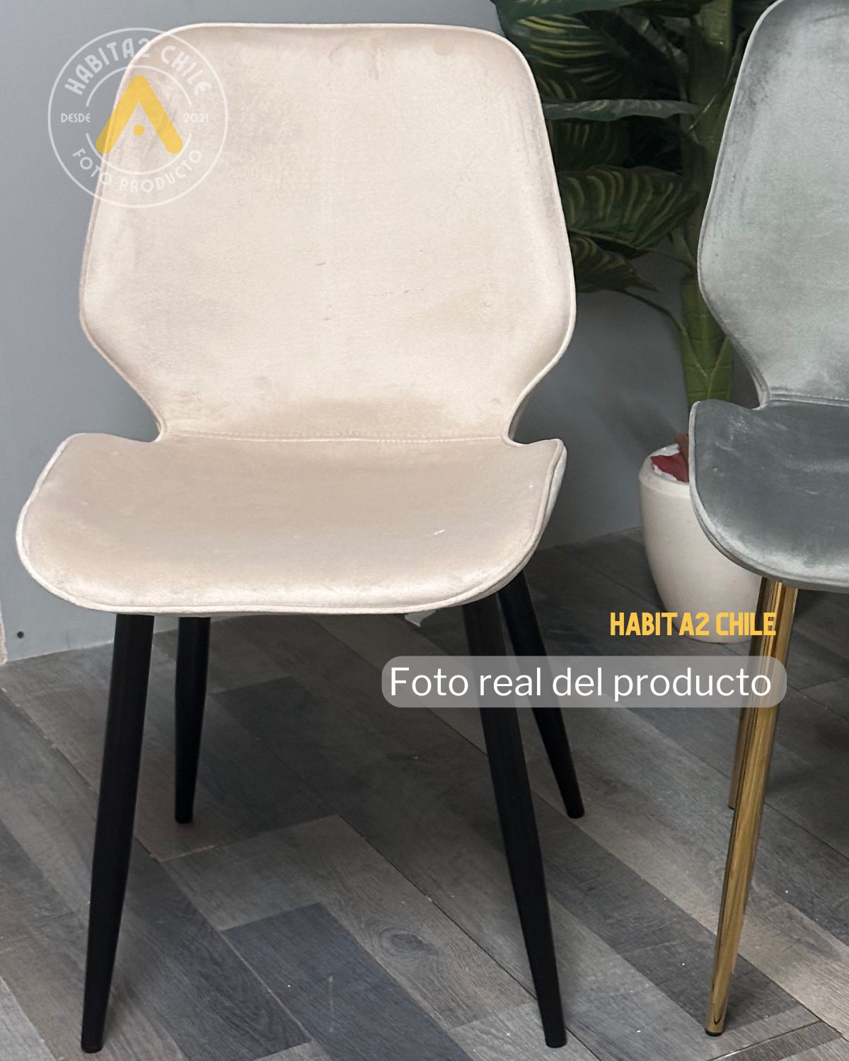 Silla Gabriel